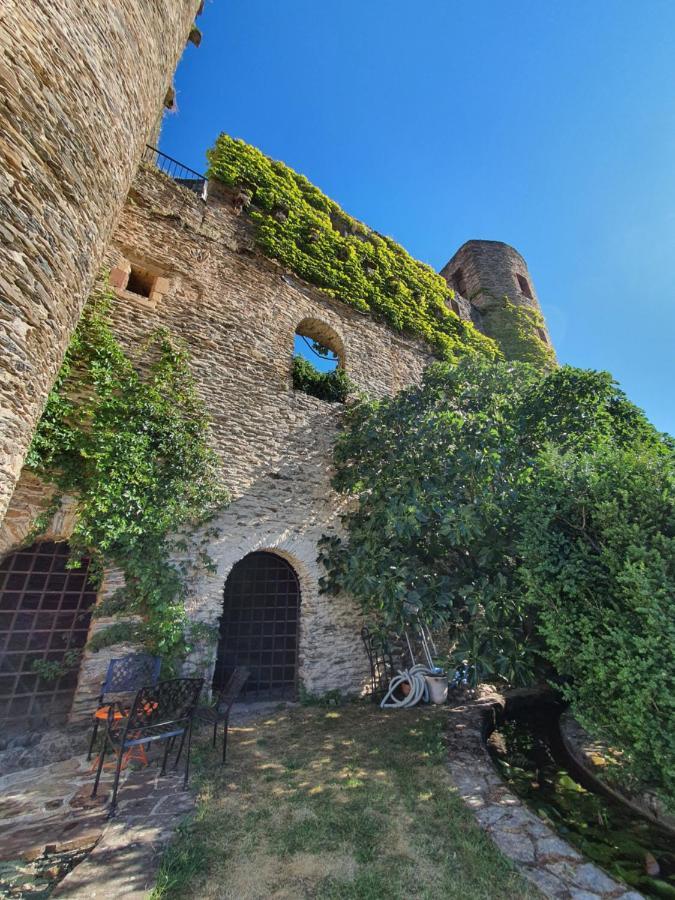 Chambre D'Hotes Au Chateau De Belcastel Εξωτερικό φωτογραφία